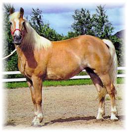 Dukata - always alert and inquisitive!