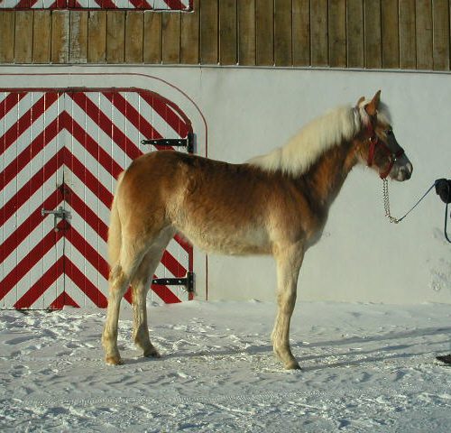 Lidia Wulf January 2006
